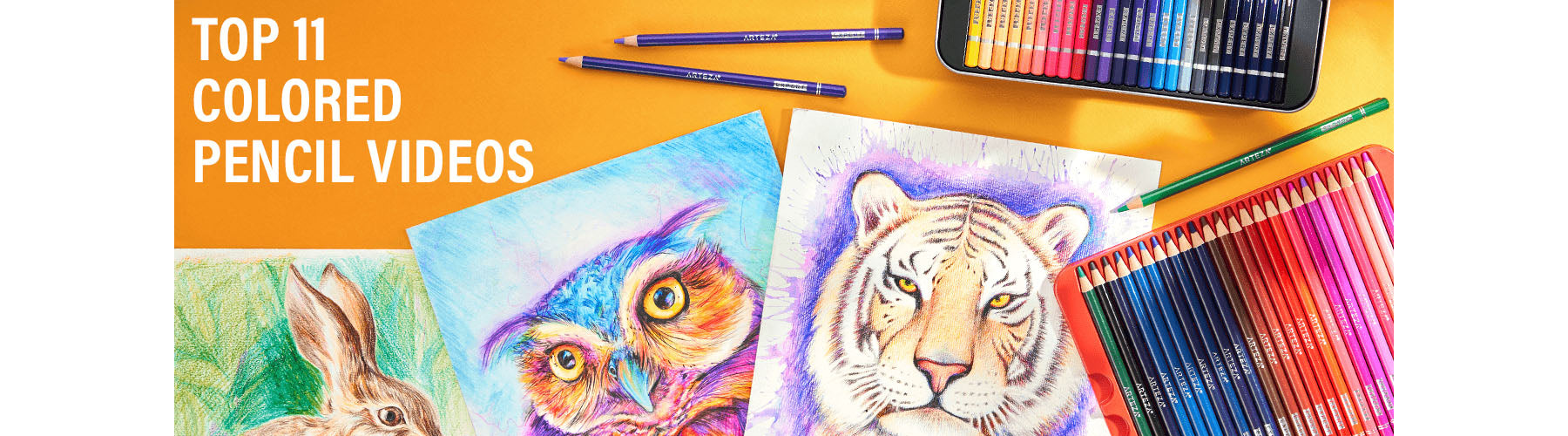Watercolor + Colored Pencils = Fast, Realistic Textures 
