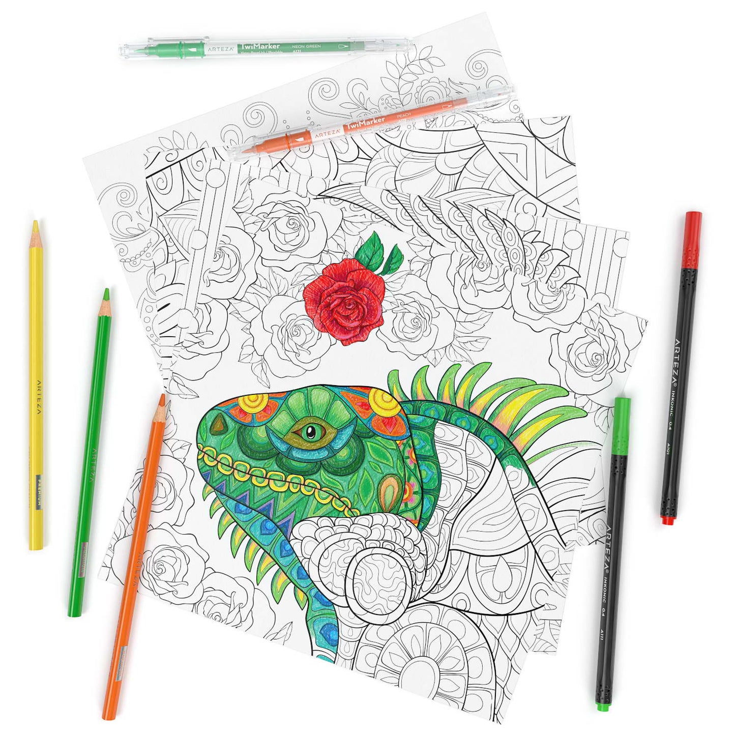 Coloring Book, 9" x 9", Animal Illustrations, 50 Sheets