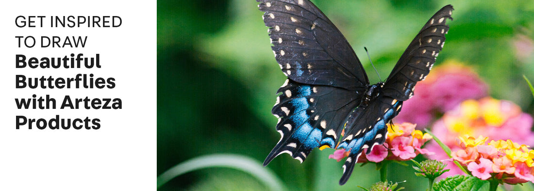 Trending Now: Visit The Key West Butterfly & Nature Conservatory and Get Inspired to Create Art