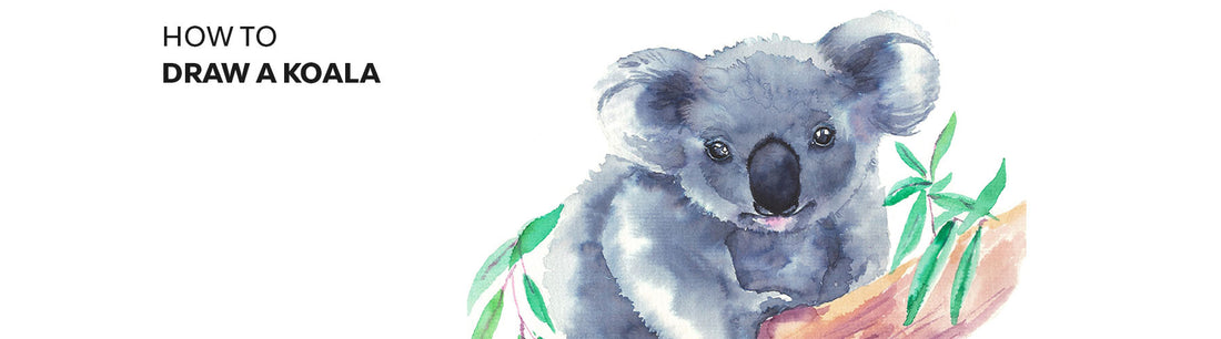 How to Draw a Koala: Easy Step-By-Step Koala Drawing