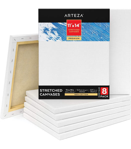 Practica Canvas 11x14- two pack