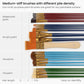 For Gouache, Oil, Acrylic and Watercolor Craft Paint Brushes fir Sizing and Info 
