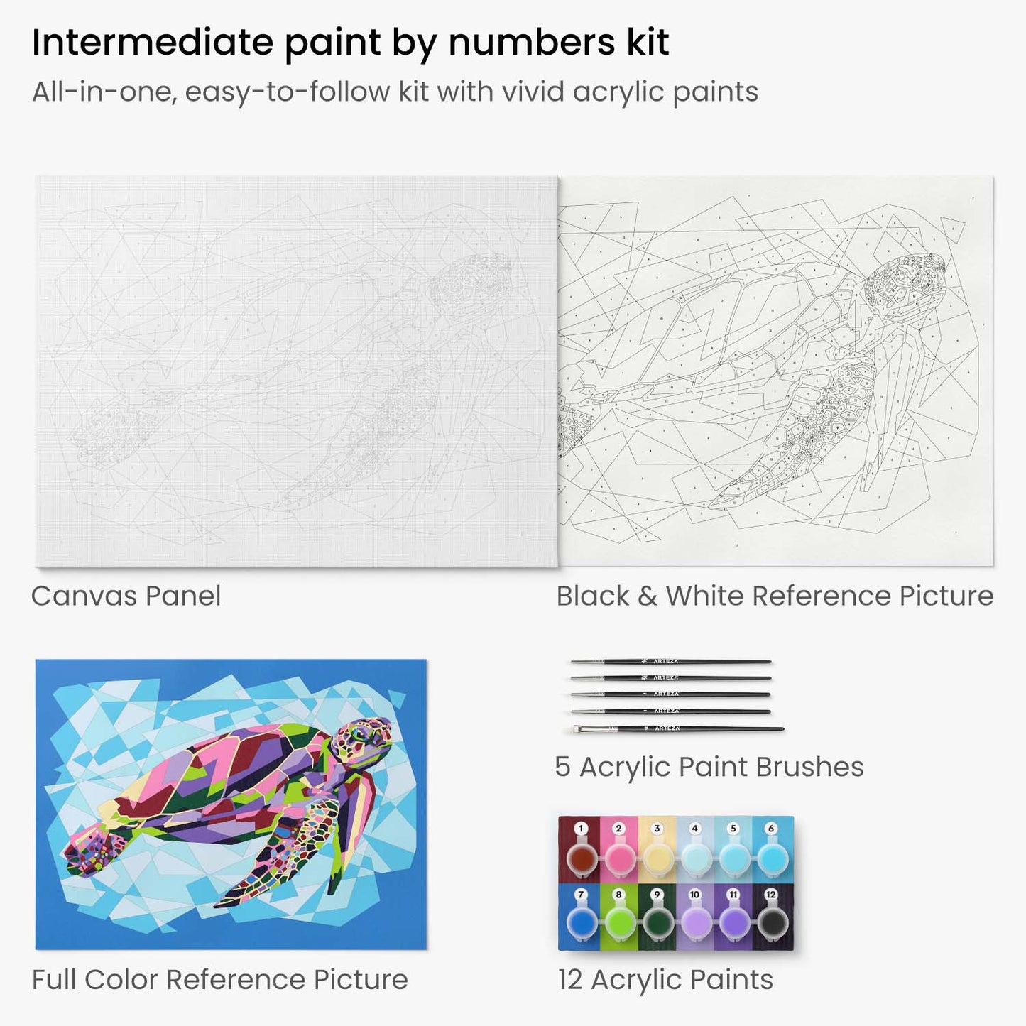 Paint by Numbers, Sea Turtle - Intermediate Level Kit