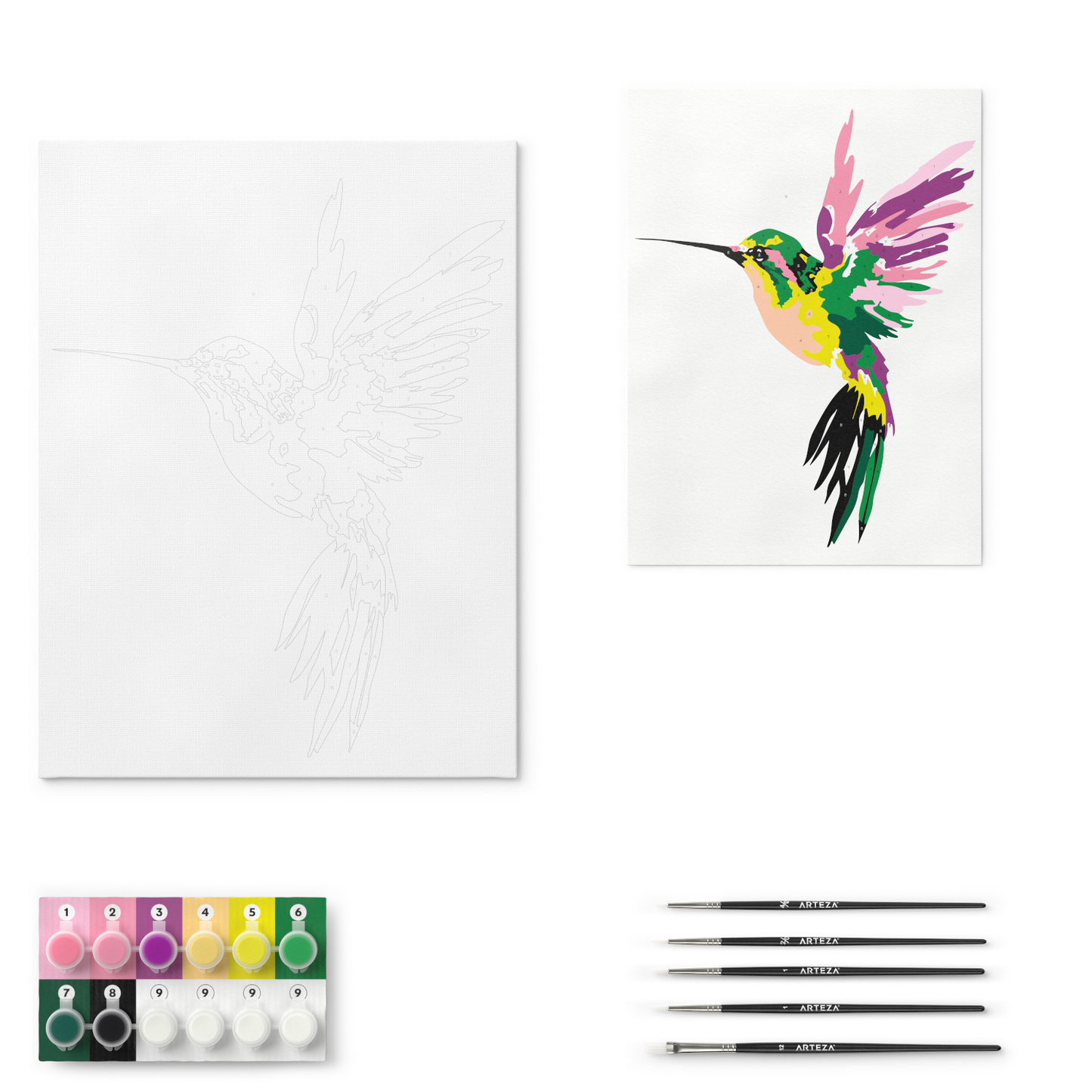 Paint by Numbers, Humming Bird -Beginner Level Kit
