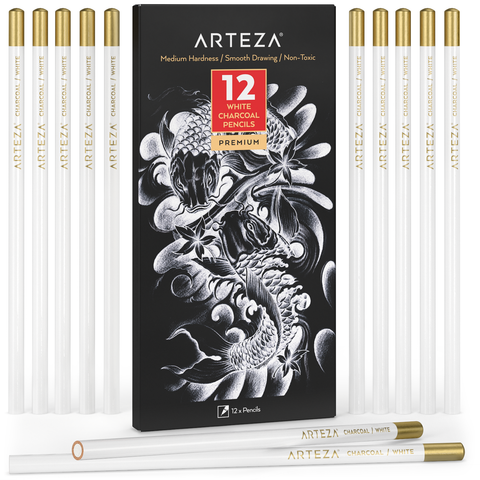  ARTEZA Professional Drawing Sketch Pencils Set of 12