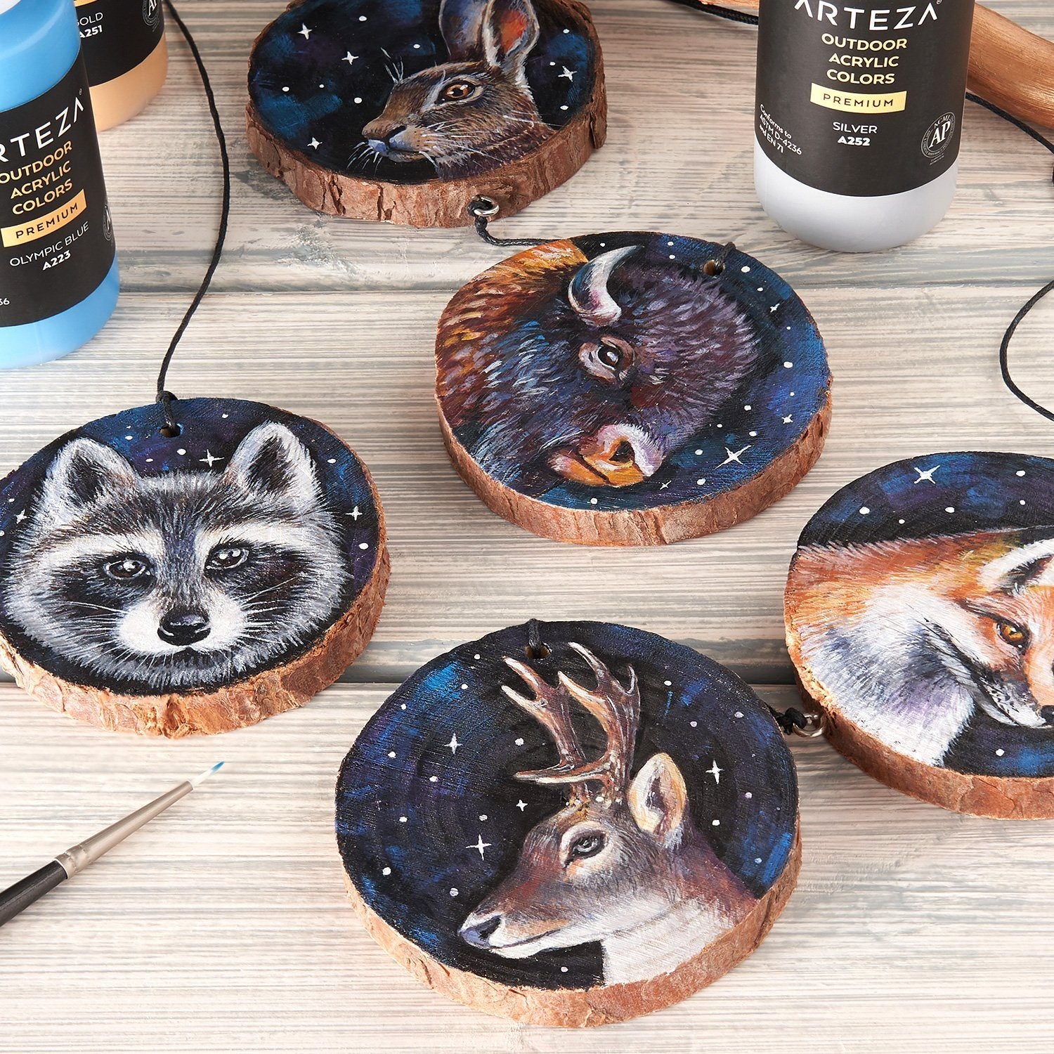 Wood Slices: 5 Wood Slices for crafts & Painting